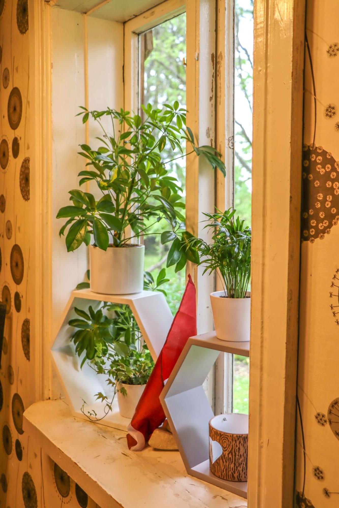 Lauku Viesu Maja Bajari Guest House Rucava Luaran gambar